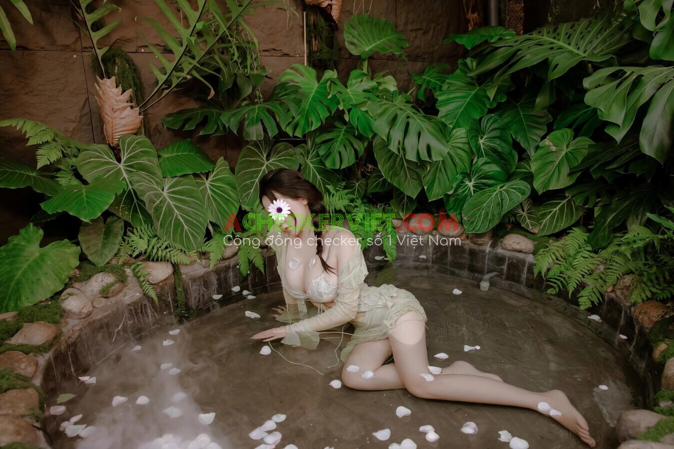 7a97160c4f40fc6632.jpg